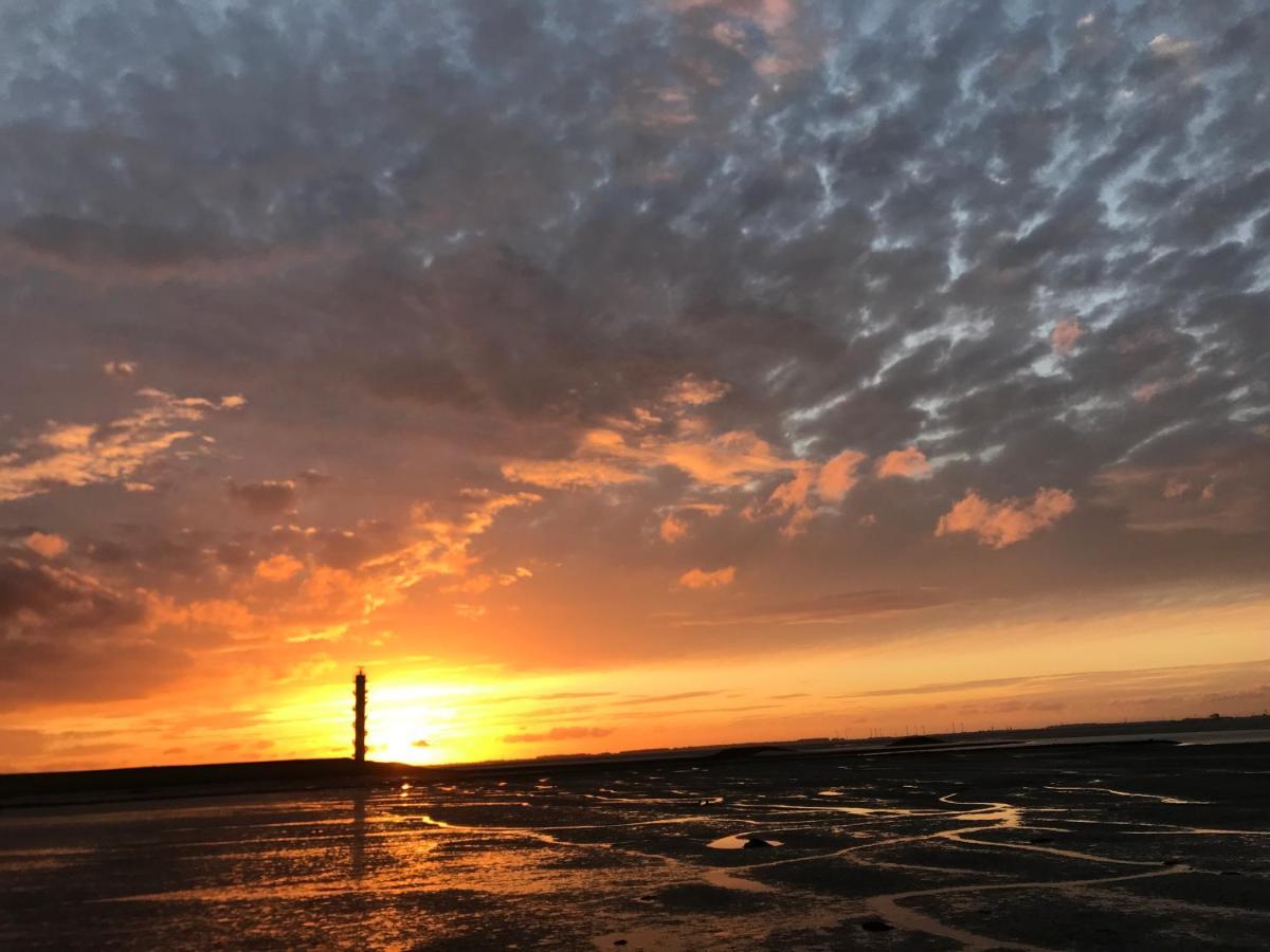 Artistiek Vakantiehuisje Hulst Exteriér fotografie