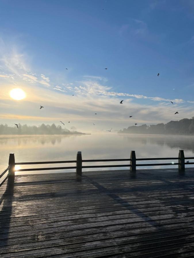Artistiek Vakantiehuisje Hulst Exteriér fotografie