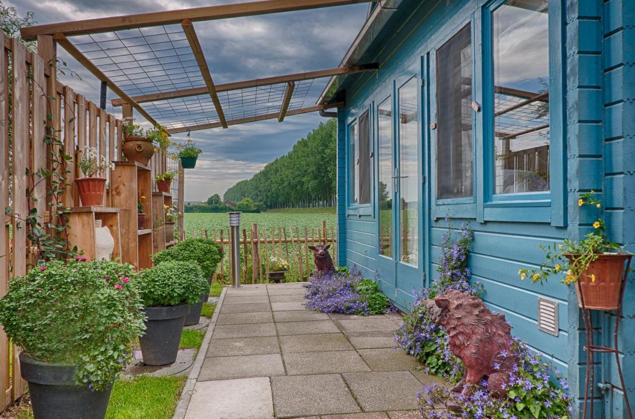 Artistiek Vakantiehuisje Hulst Exteriér fotografie