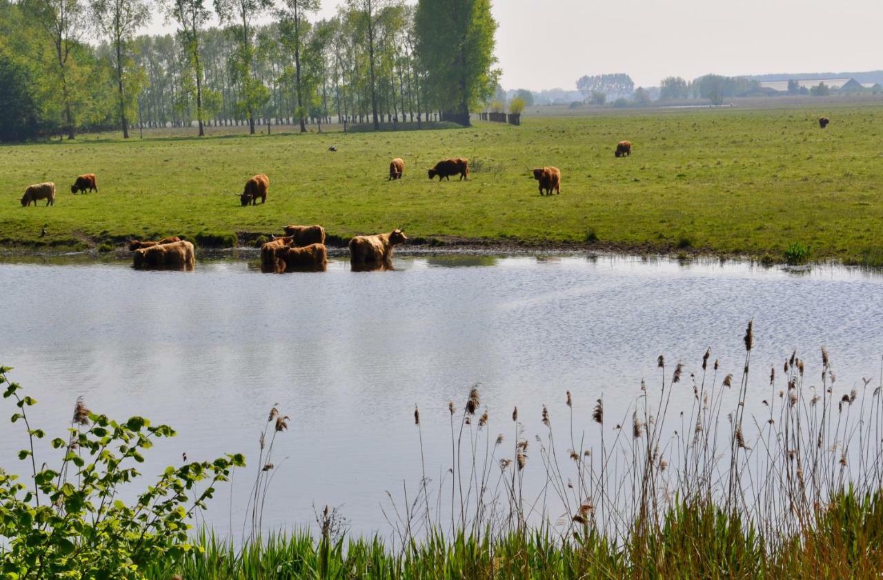 Artistiek Vakantiehuisje Hulst Exteriér fotografie