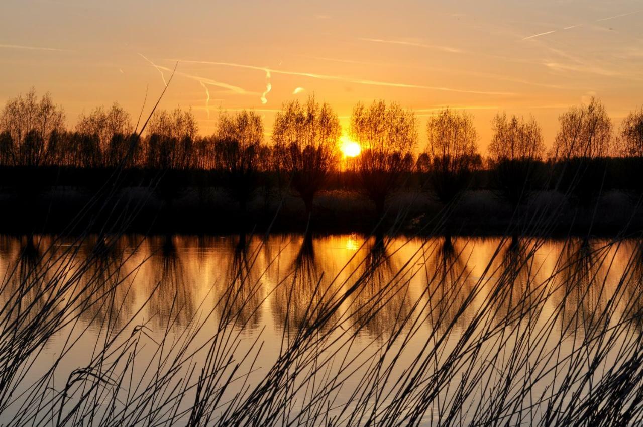 Artistiek Vakantiehuisje Hulst Exteriér fotografie