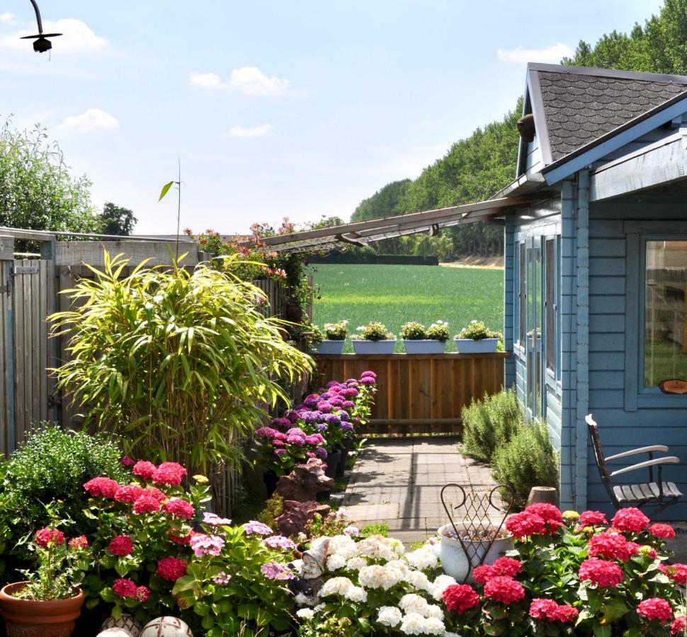 Artistiek Vakantiehuisje Hulst Exteriér fotografie