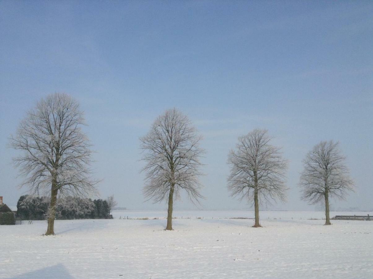 Artistiek Vakantiehuisje Hulst Exteriér fotografie